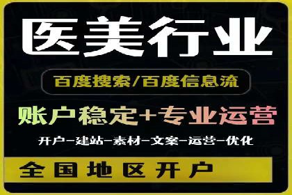 SEM搜索引擎优化策略解析与应用案例